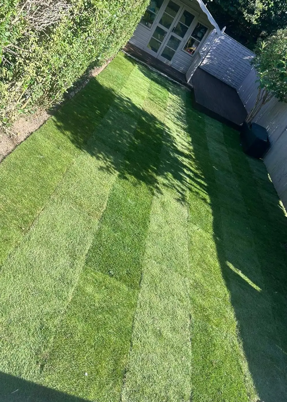 Clear and returf garden croydon
