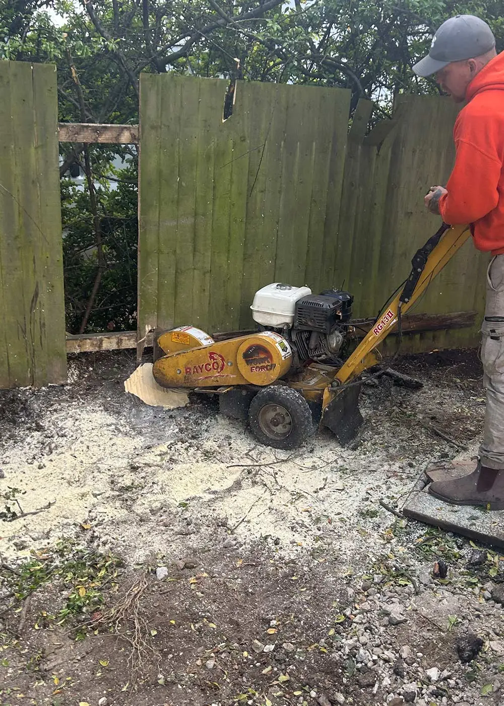 Tree Surgery Stump Grinding Esher