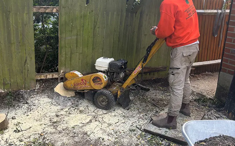 Stump grinding service
